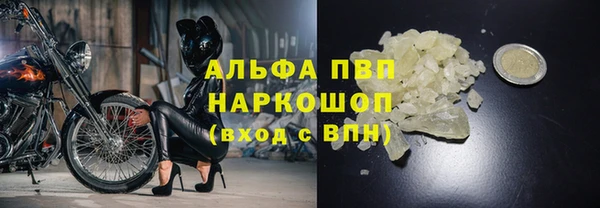 индика Арсеньев
