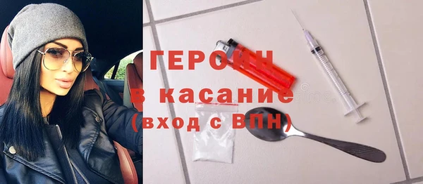 индика Арсеньев