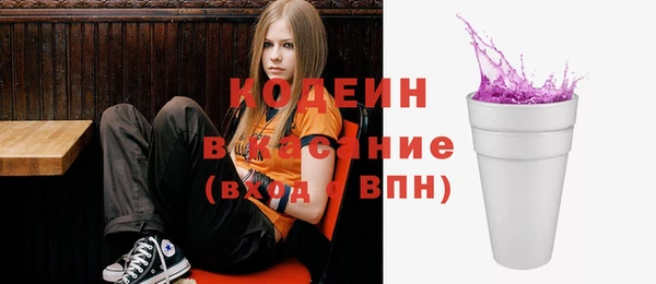 индика Арсеньев