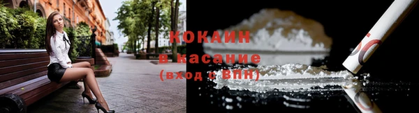 индика Арсеньев