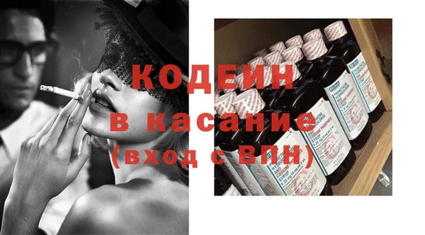 индика Арсеньев